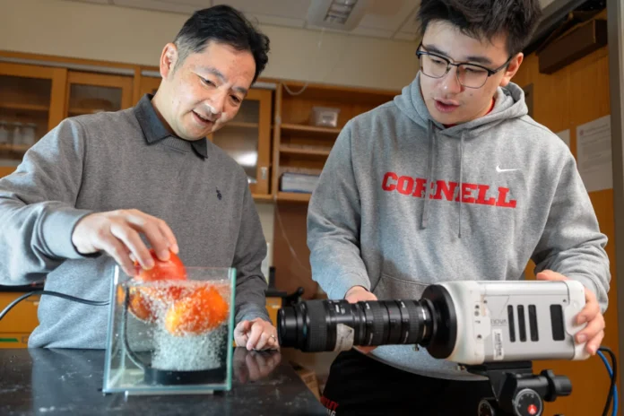 best way to wash fruits and vegetables safely using new method