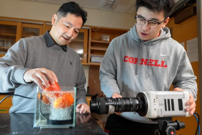 New scientific method of washing fruits and vegetables using bubbles and sound waves